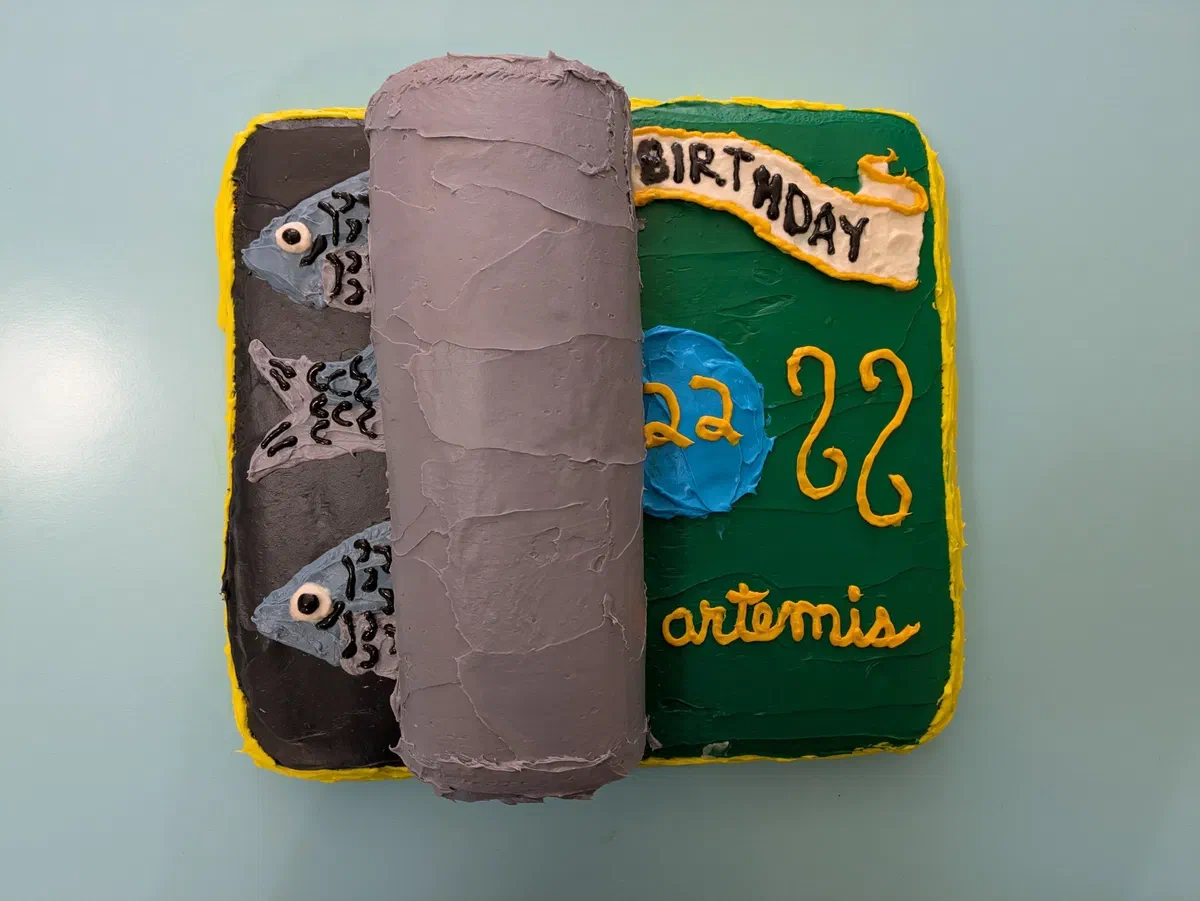 Cake Artemis-22: Sardine Can